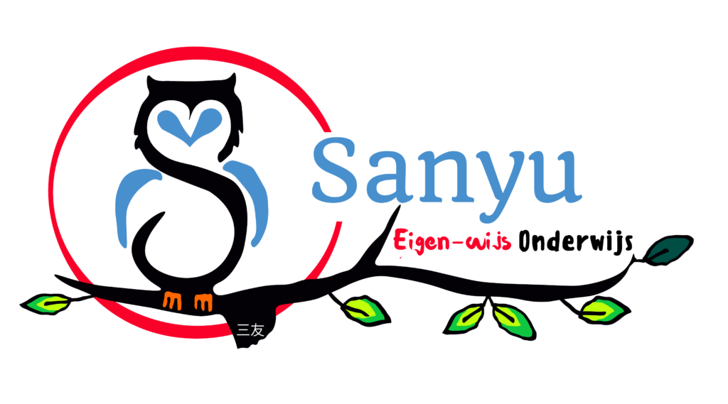 Sanyu Onderwijs, voor hoogbegaafde kinderen en jongeren